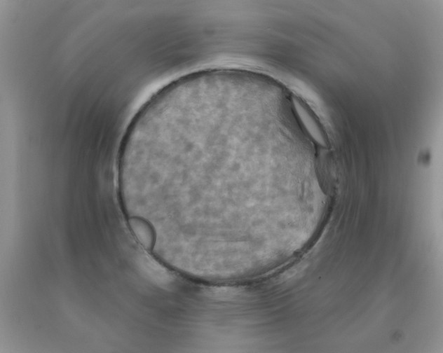 X0000091351280200709071231