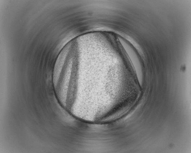 X0000091351281200709071231