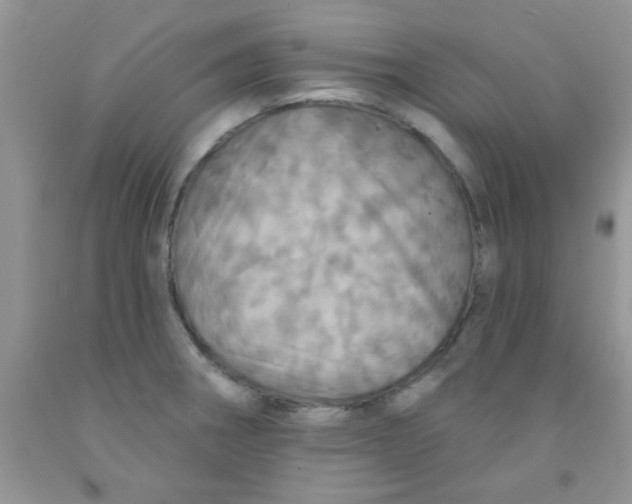 X0000091351282200709071231