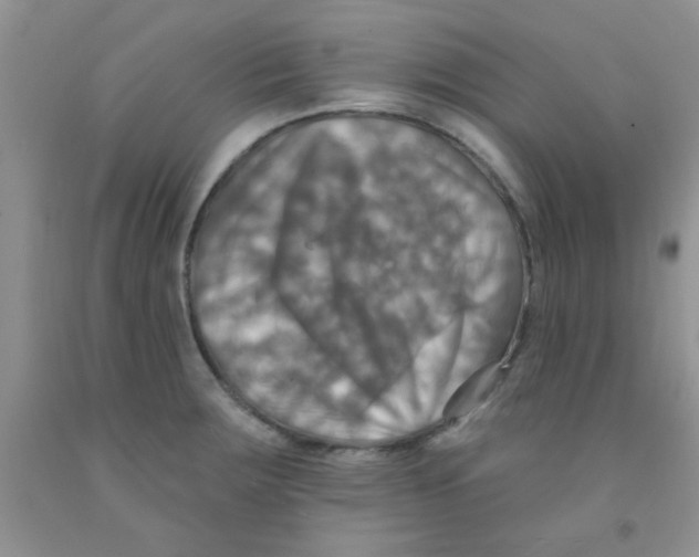 X0000091351283200709071231