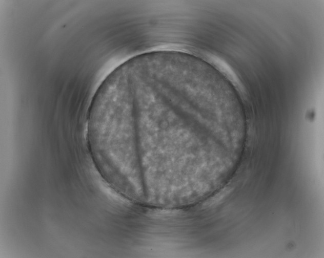X0000091351284200709071231