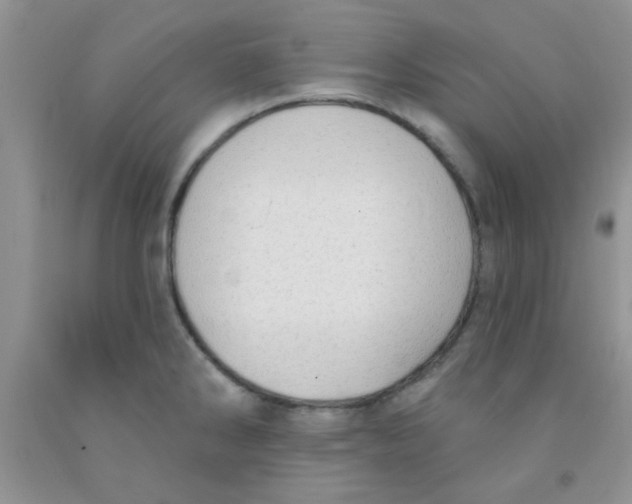 X0000091351286200709071231