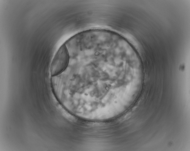 X0000091351287200709071231