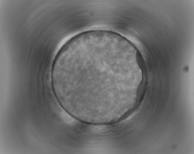 X0000091351288200709071231