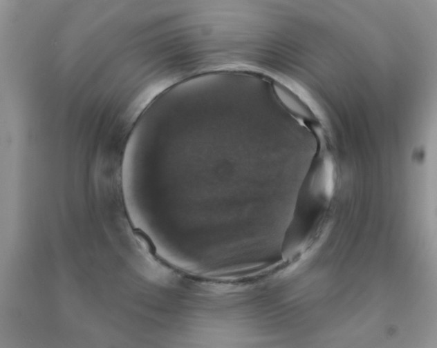 X0000091351289200709071231