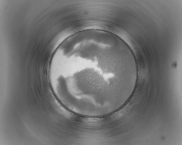 X0000091351290200709071231