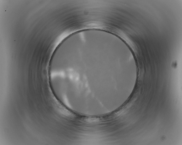 X0000091351291200709071231