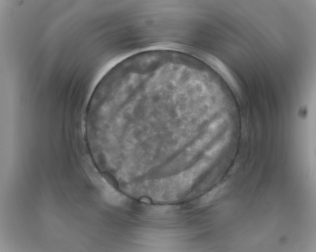 X0000091351292200709071231