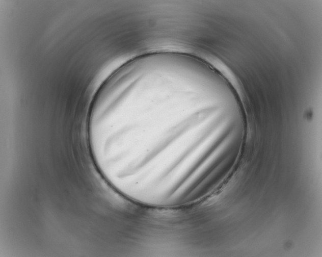 X0000091351293200709071231