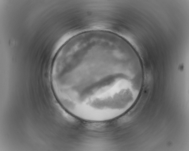 X0000091351294200709071231
