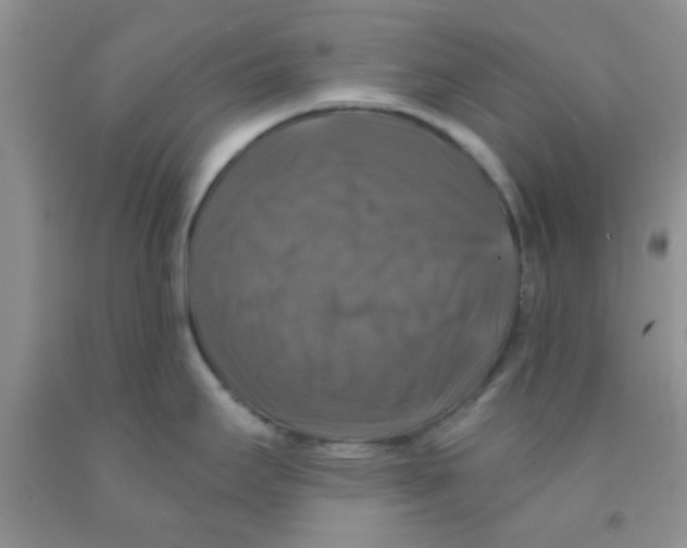 X0000091351295200709071231