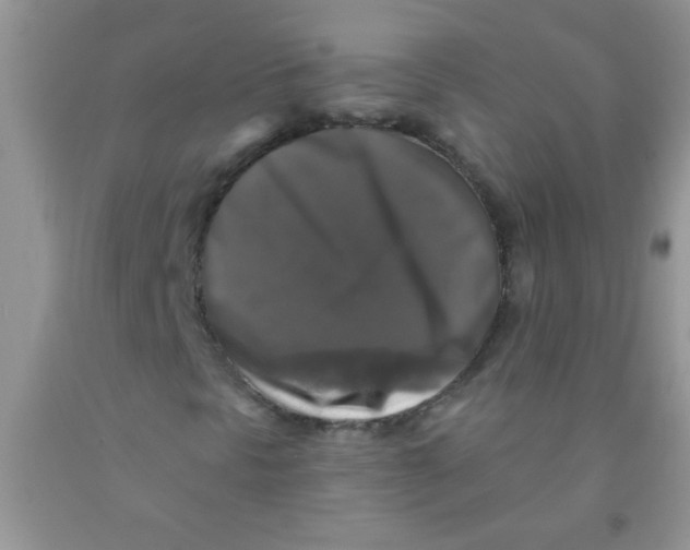 X0000091351297200709071230