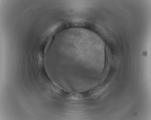 X0000091351298200709071230