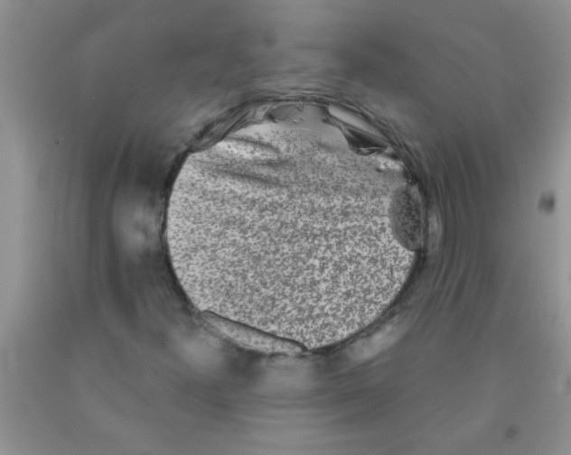 X0000091351300200709071230