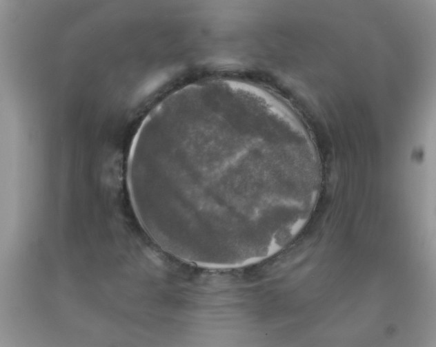 X0000091351301200709071230