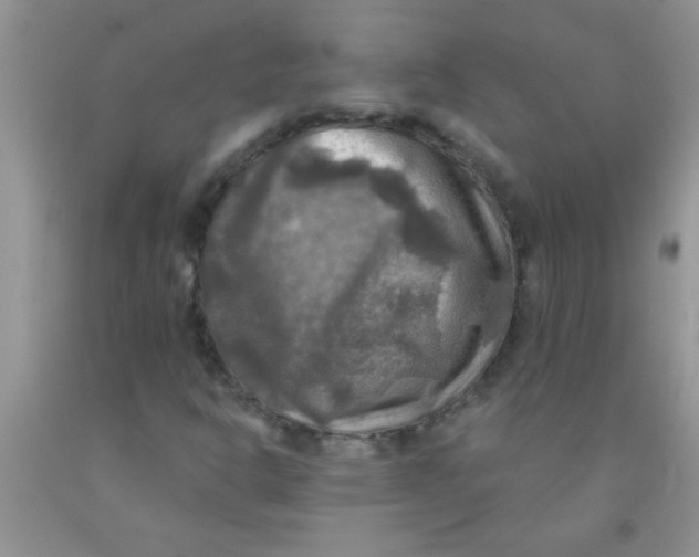 X0000091351302200709071230