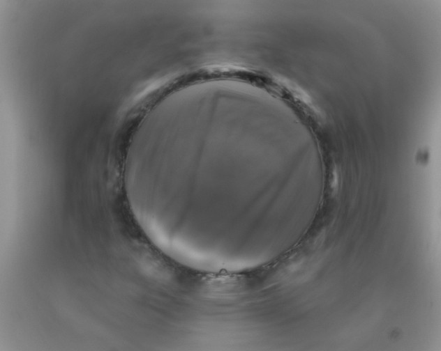 X0000091351303200709071230
