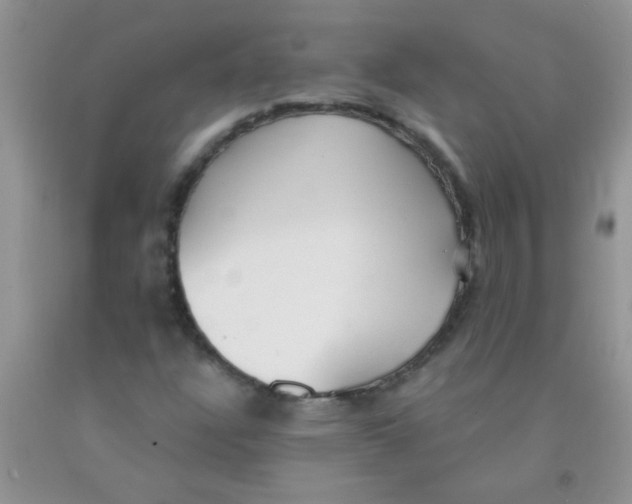 X0000091351304200709071230