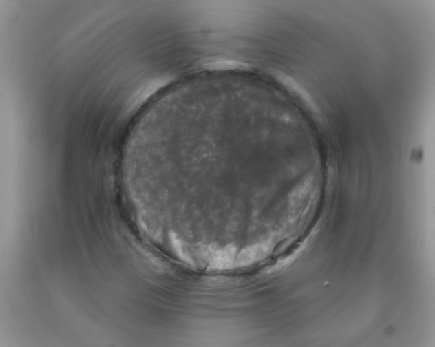 X0000091351305200709071230