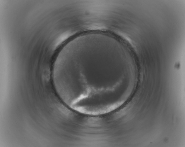 X0000091351306200709071230
