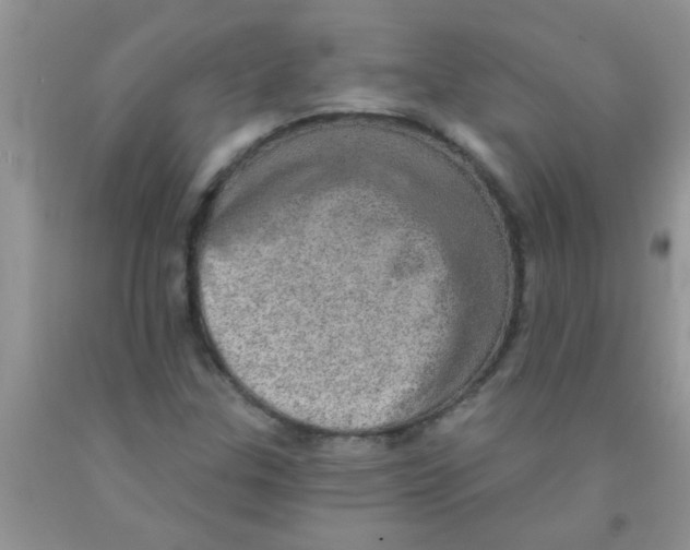 X0000091351307200709071230