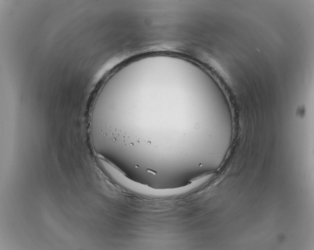 X0000091351308200709071230