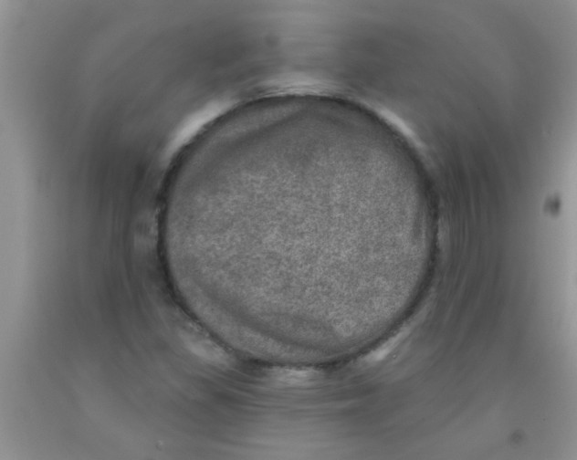 X0000091351309200709071230