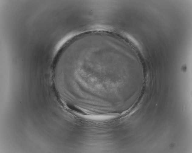 X0000091351310200709071230