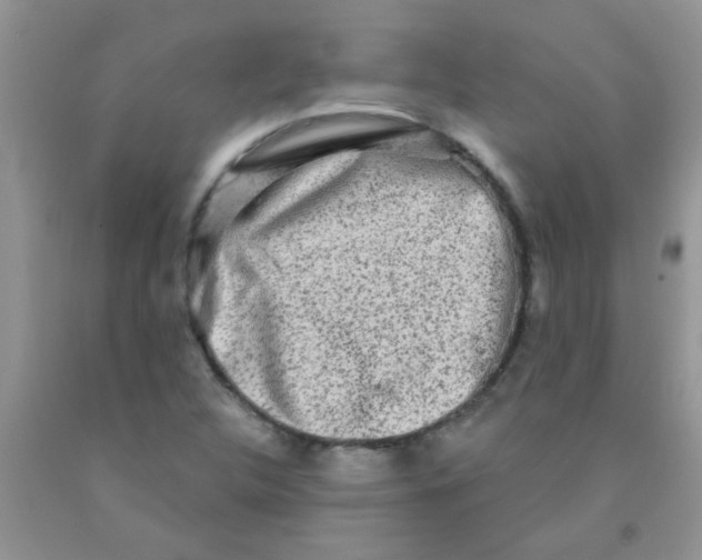 X0000091351312200709071230