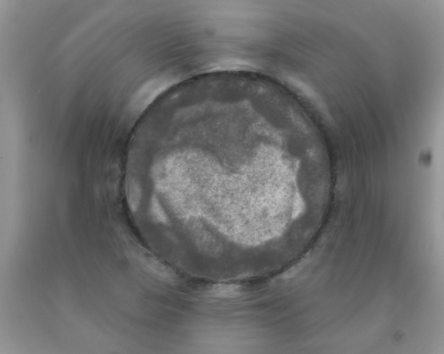 X0000091351313200709071230