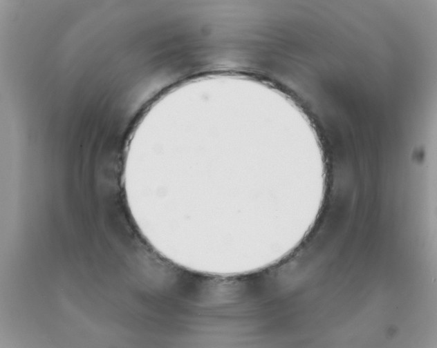X0000091351314200709071230