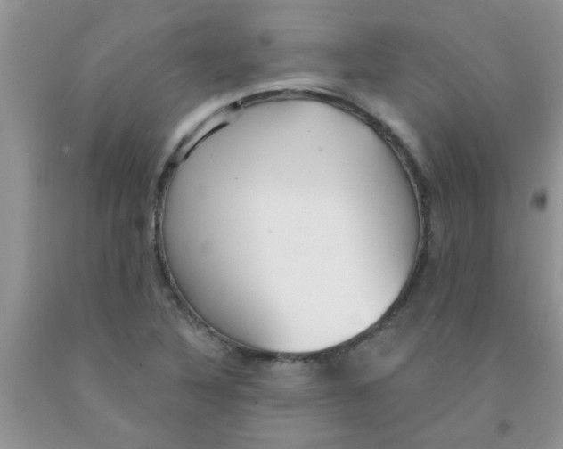 X0000091351316200709071230