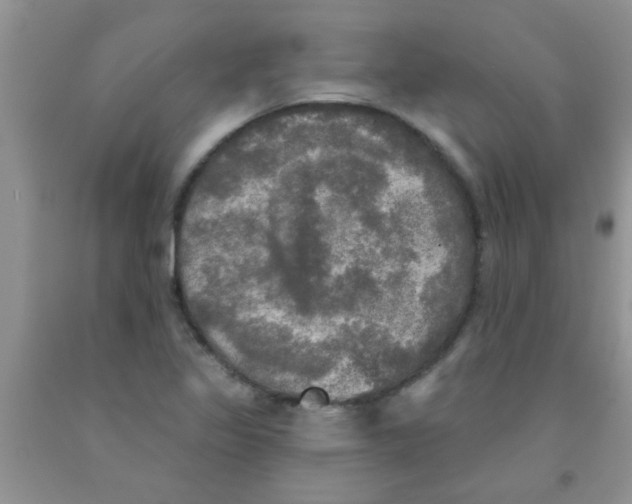 X0000091351317200709071230
