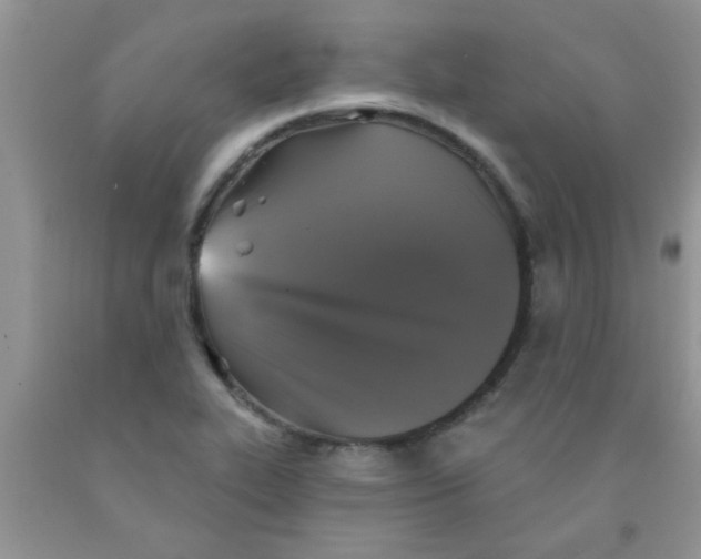 X0000091351319200709071230