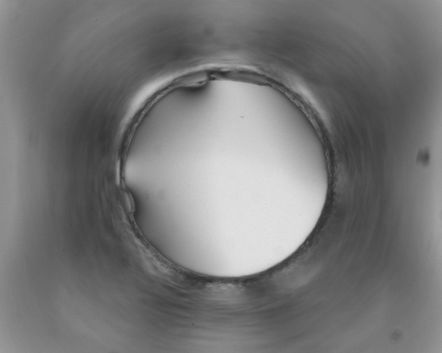 X0000091351320200709071230