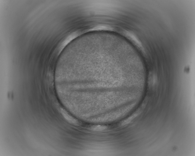 X0000091351321200709071230