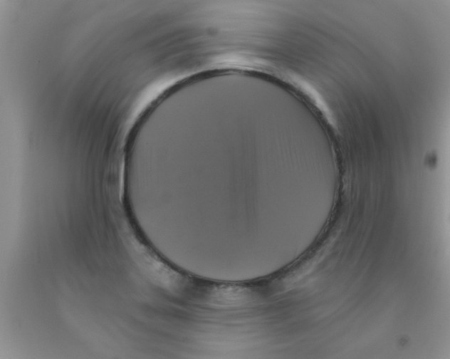 X0000091351323200709071230
