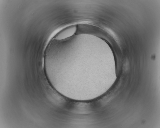 X0000091351324200709071230