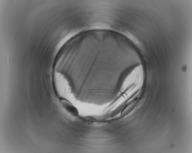 X0000091351325200709071230