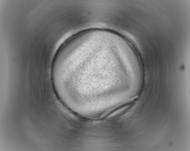 X0000091351326200709071230