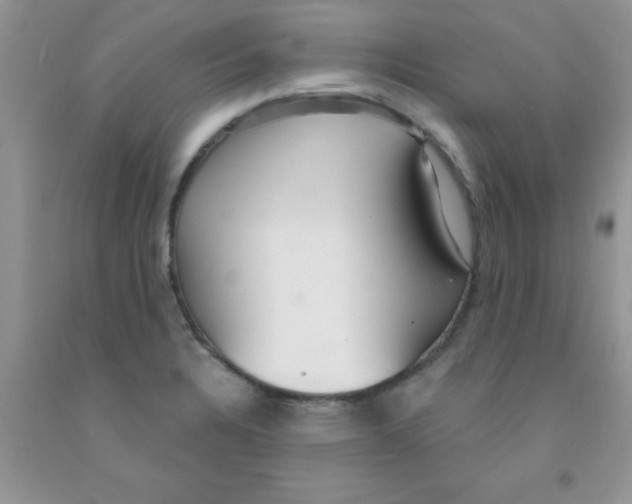 X0000091351328200709071230