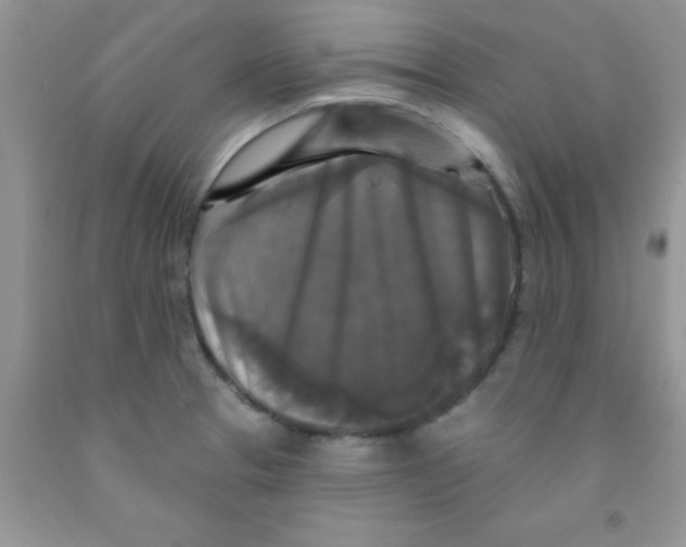 X0000091351329200709071230