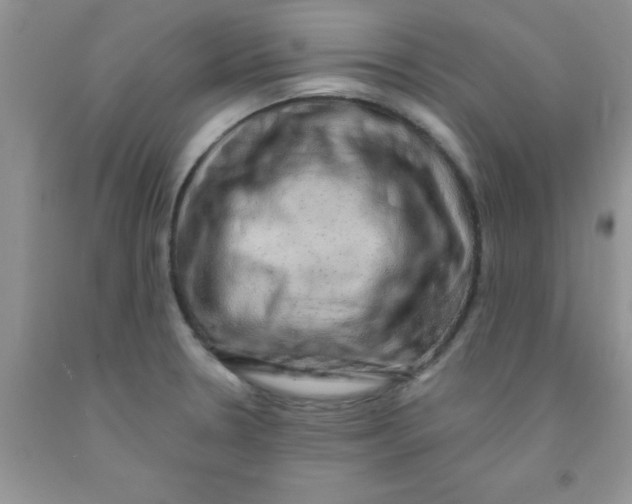 X0000091351330200709071231