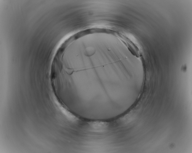 X0000091351331200709071231