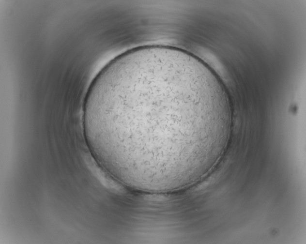 X0000091351332200709071231