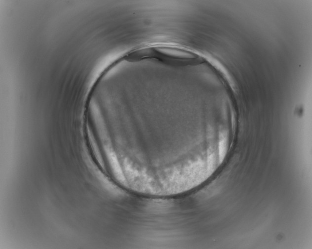X0000091351333200709071231