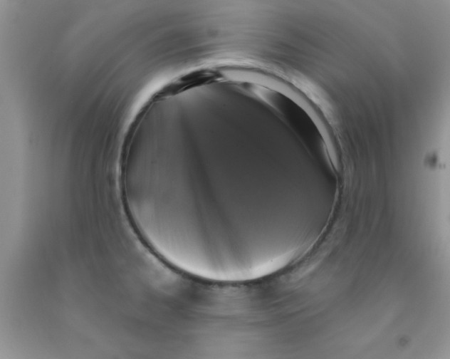 X0000091351334200709071231