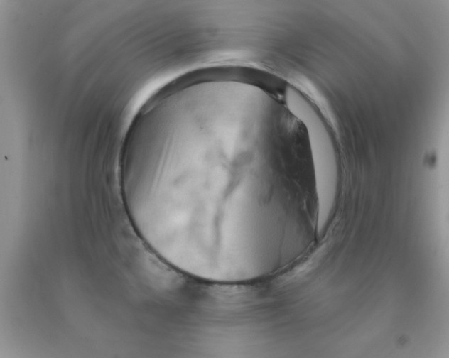 X0000091351336200709071231