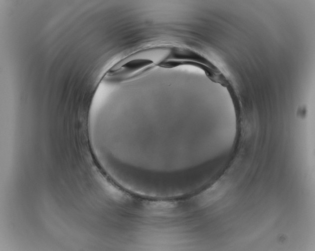 X0000091351337200709071231