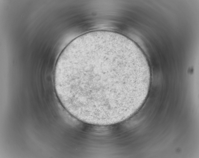 X0000091351338200709071231